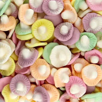 Champignons aux fruits - 100gr