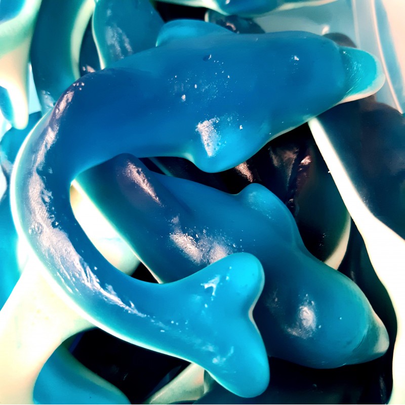 Dauphin XXL - 2 pièces