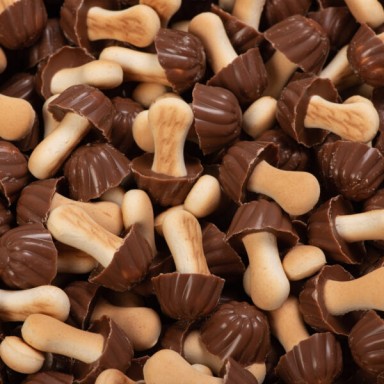 Champignon Biscuit Chocolat Caramel - 10 pièces